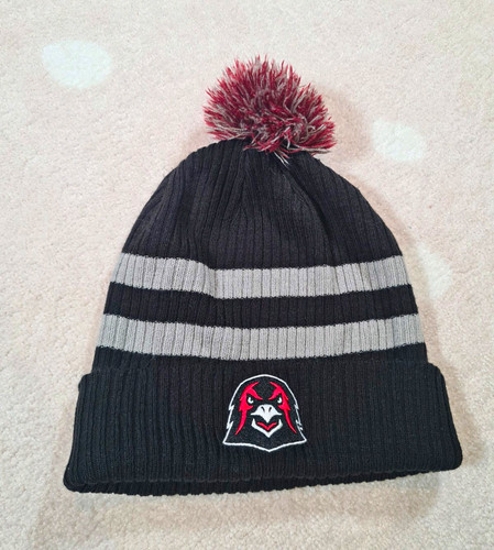 Nike aum warhawks pom beanie - warhawks,