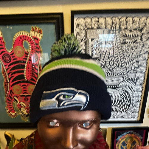 Nfl team apparel - team, seattle