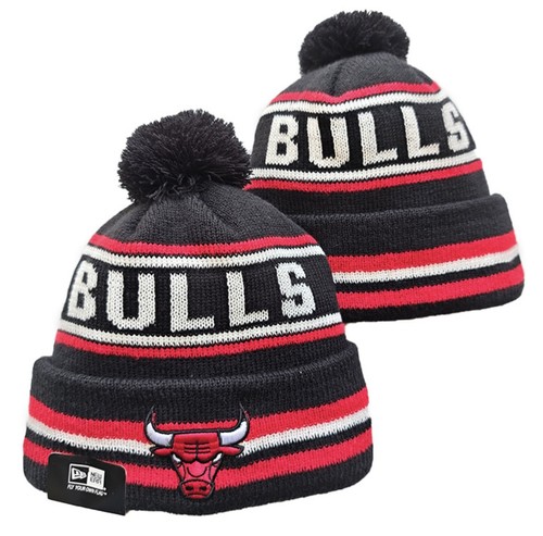 Chicago bulls nba bobble - chicago,